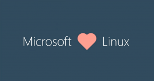 Linux Kernel Windows