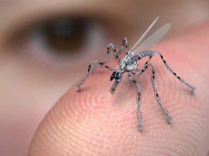 scarabeo cyborg