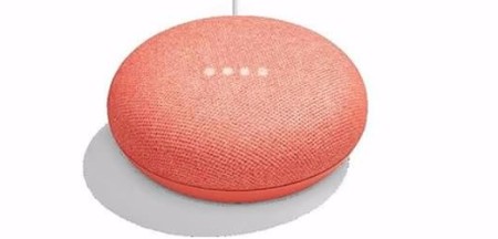google home